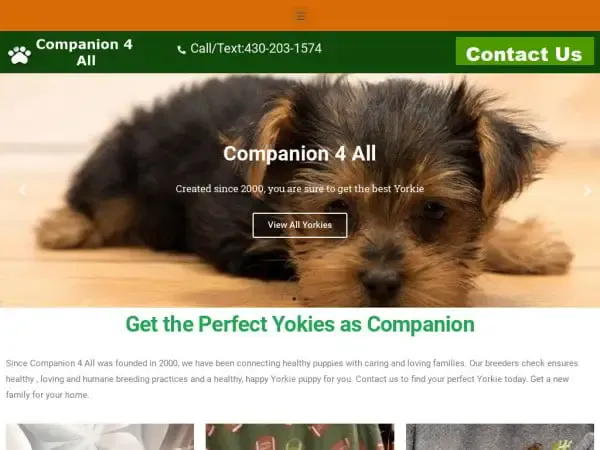 Screenshot of