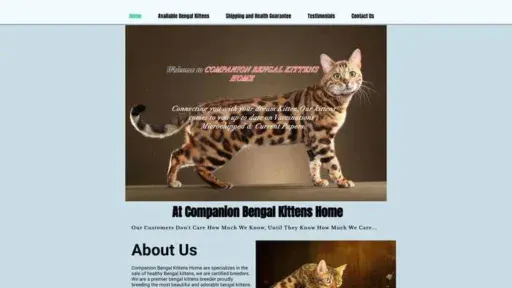 Screenshot of