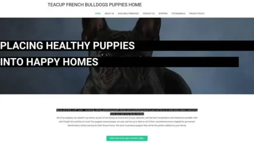 Screenshot of