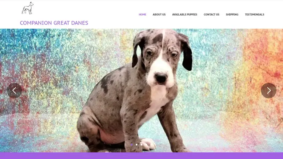 Screenshot of
