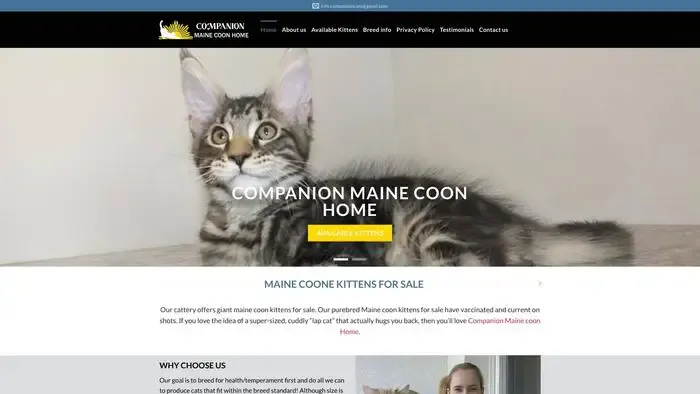 Screenshot of