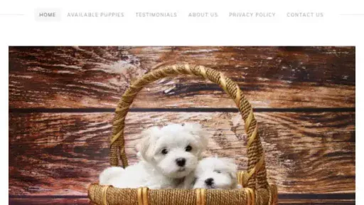 Screenshot of