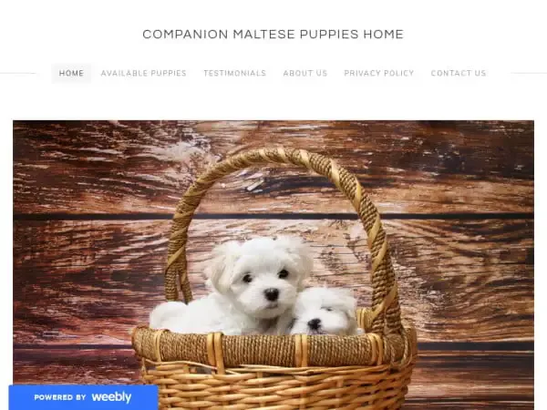 Screenshot of