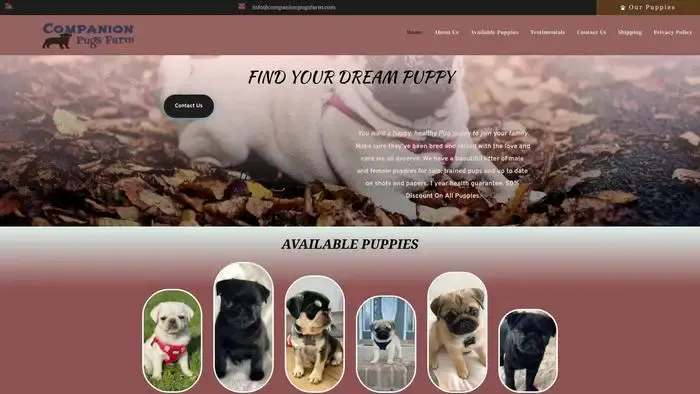 Screenshot of