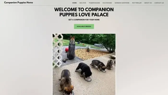 Screenshot of