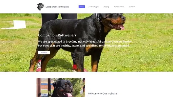 Screenshot of