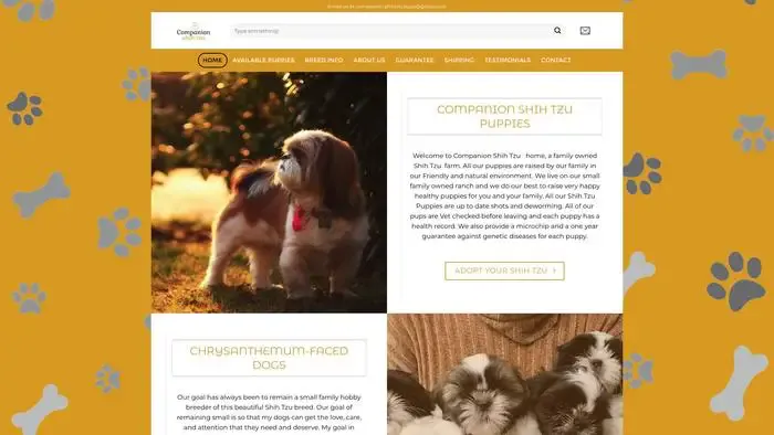 Screenshot of