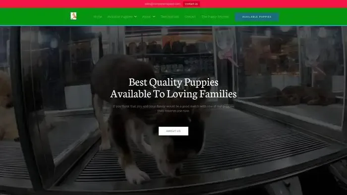 Screenshot of