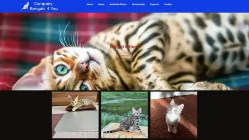 Screenshot of