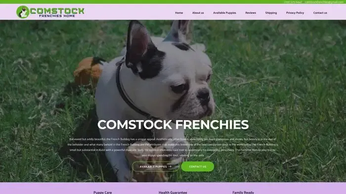 Screenshot of
