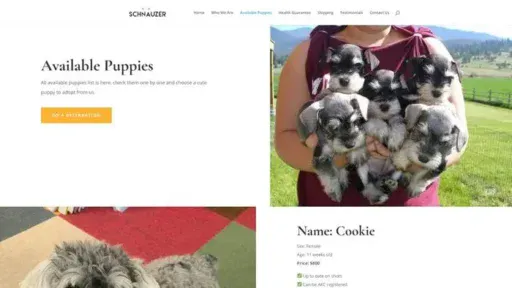 Screenshot of