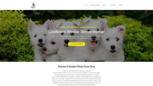 Screenshot of