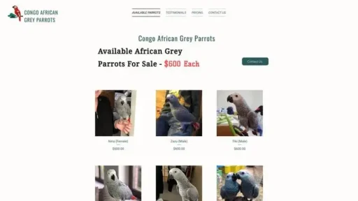 Screenshot of