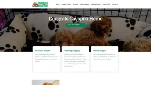 Screenshot of
