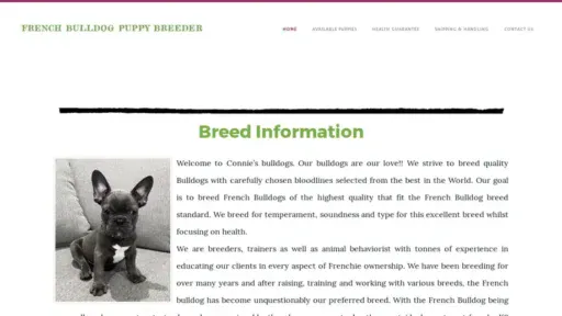 Screenshot of