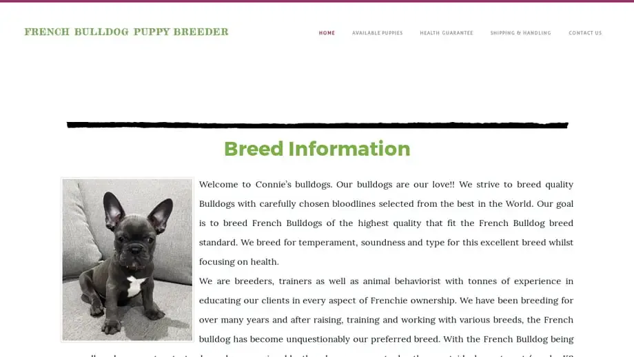 Screenshot of