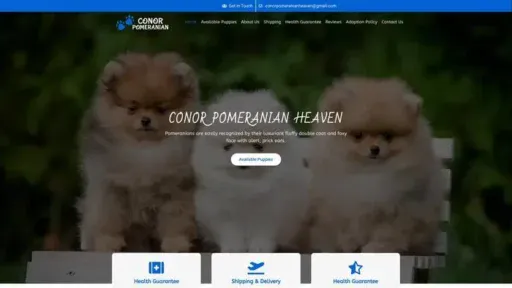 Screenshot of