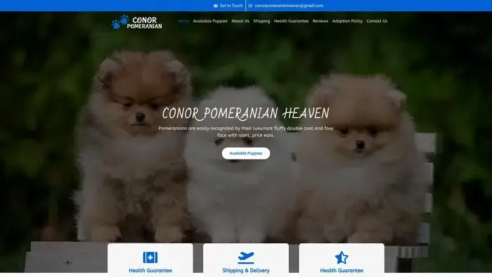 Screenshot of