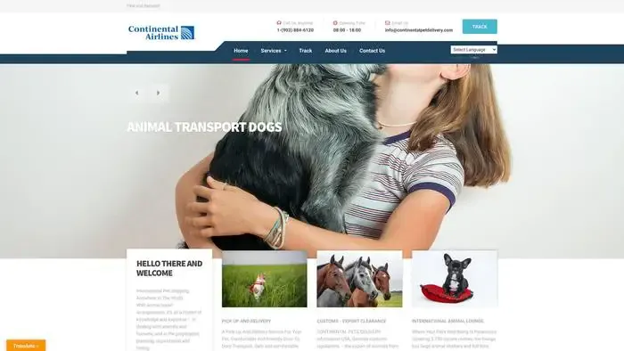 Screenshot of