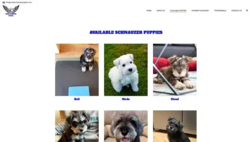 Screenshot of