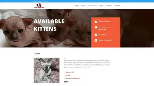 Screenshot of
