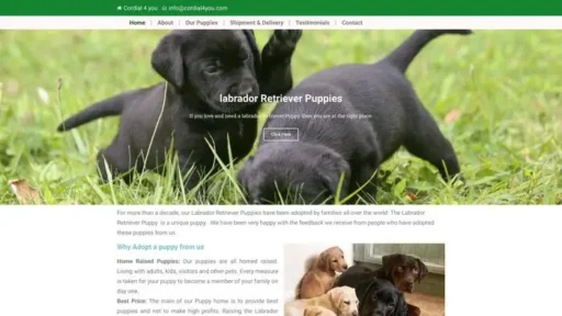 Screenshot of
