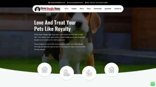 Screenshot of