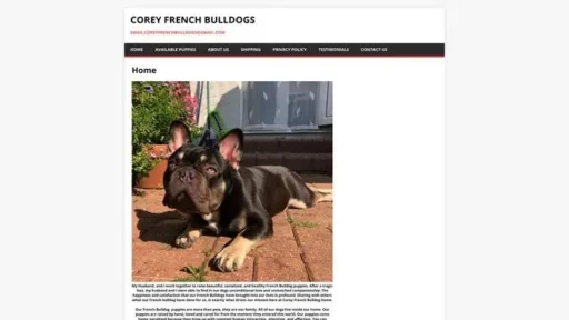 Screenshot of