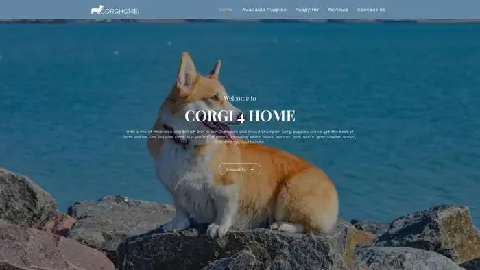 Screenshot of