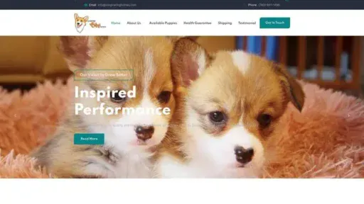 Screenshot of