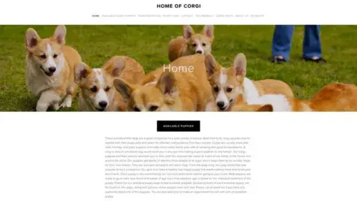 Screenshot of