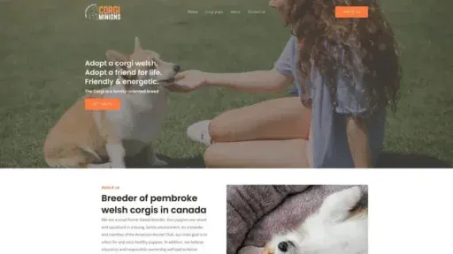 Screenshot of