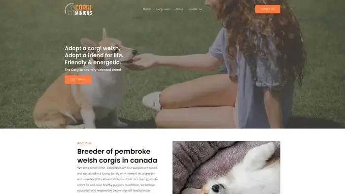 Screenshot of