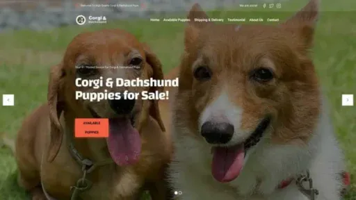 Screenshot of||