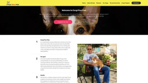 Screenshot of