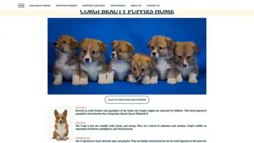 Screenshot of