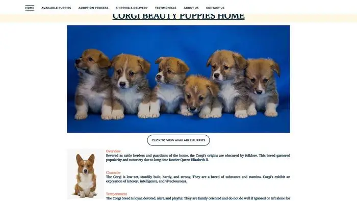 Screenshot of