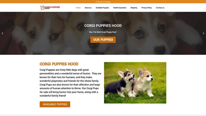 Screenshot of|