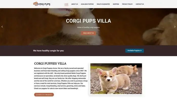 Screenshot of