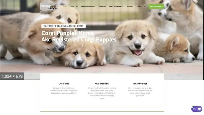 Screenshot of