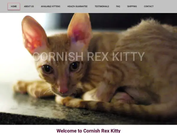 Screenshot of