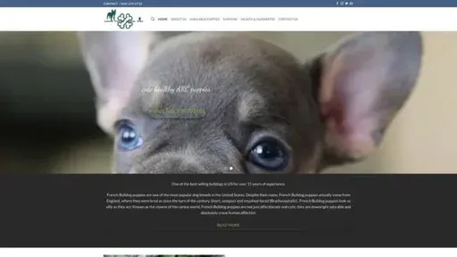 Screenshot of