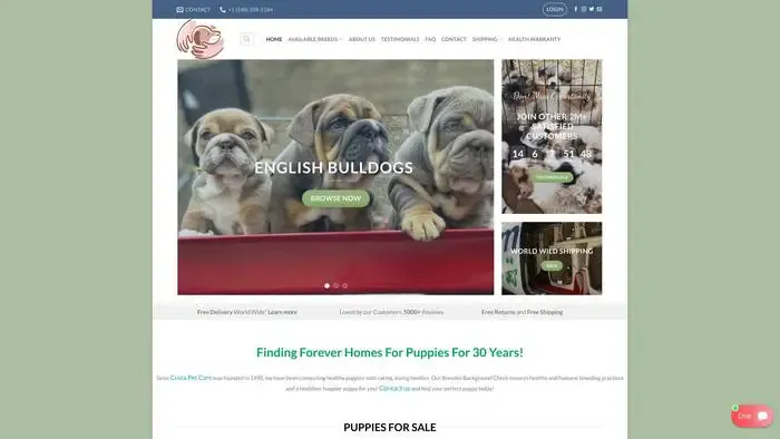 Screenshot of