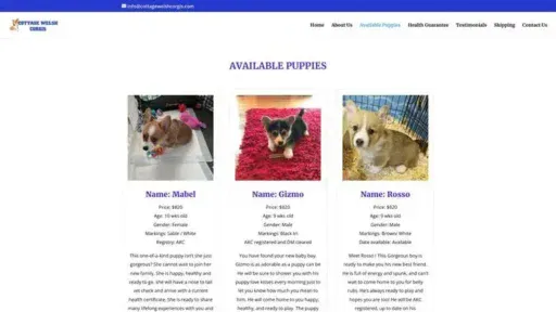 Screenshot of