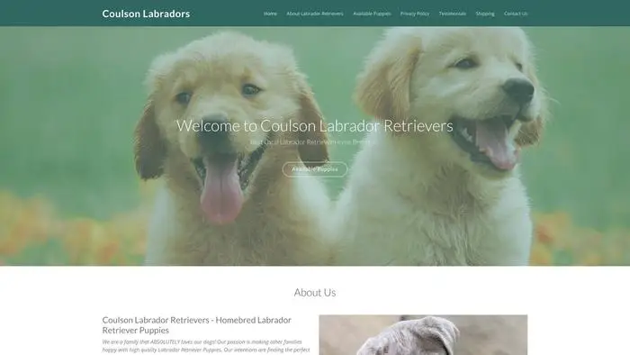 Screenshot of