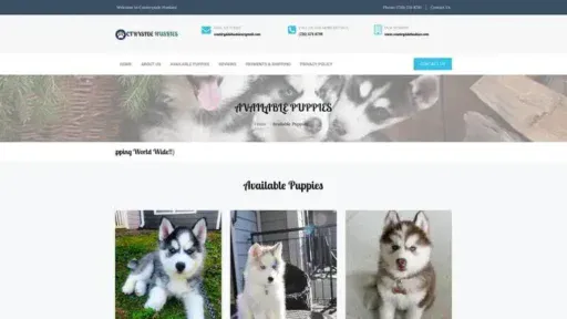 Screenshot of