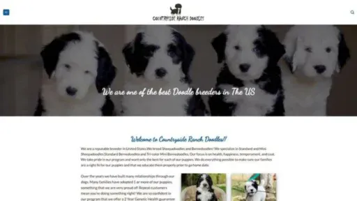 Screenshot of||