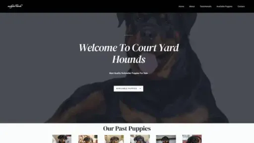 Screenshot of