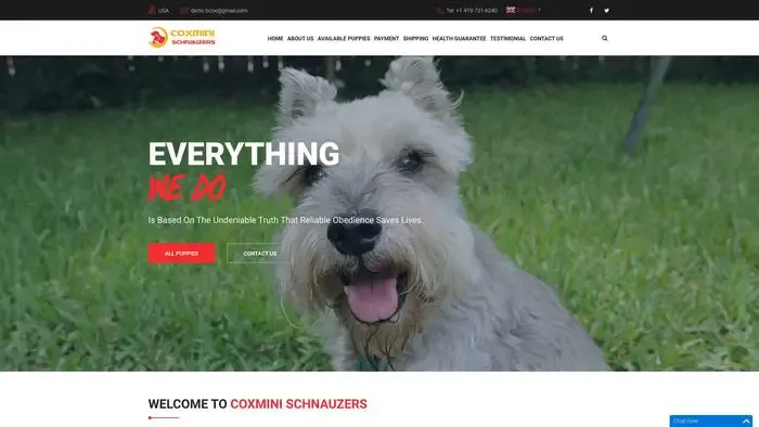 Screenshot of