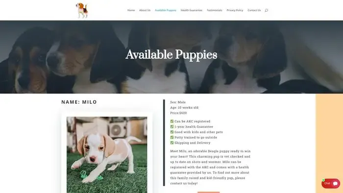 Screenshot of